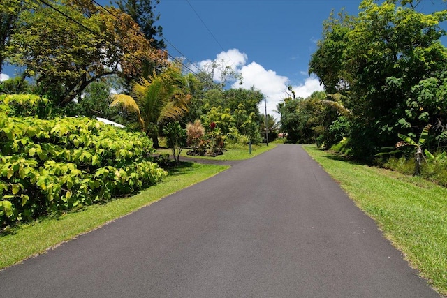 15-175 N Puni Lapa Loop, Pahoa, HI 96778 - photo 1