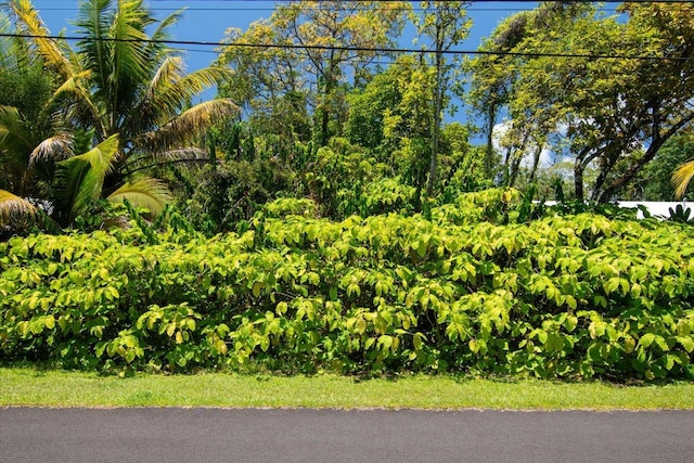 15-175 N Puni Lapa Loop, Pahoa, HI 96778 - photo 2