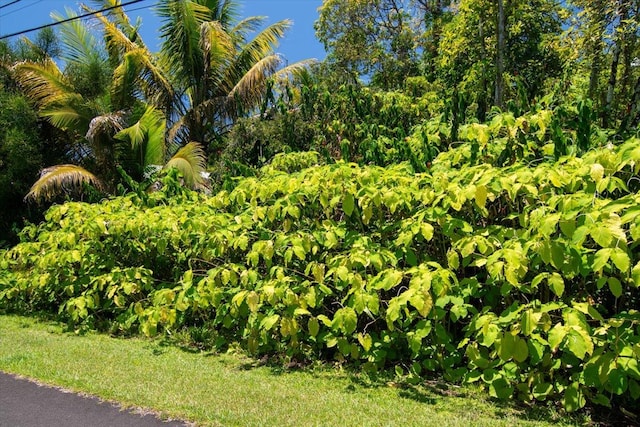 15-175 N Puni Lapa Loop, Pahoa, HI 96778 - photo 3