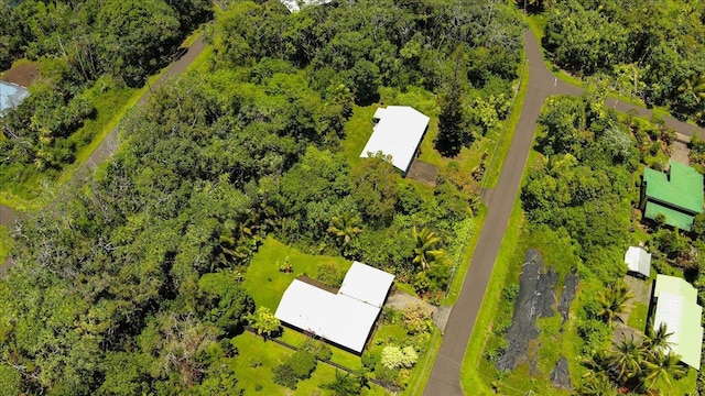 15-175 N Puni Lapa Loop, Pahoa, HI 96778 - photo 4