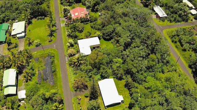15-175 N Puni Lapa Loop, Pahoa, HI 96778 - photo 7
