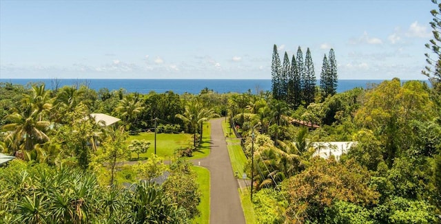 15-175 N Puni Lapa Loop, Pahoa, HI 96778 - photo 10