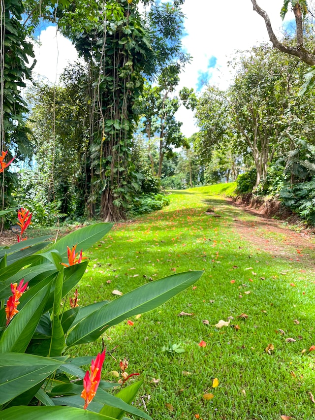 6546-D Kuamoo Rd Unit 5, Kapaa, HI 96746