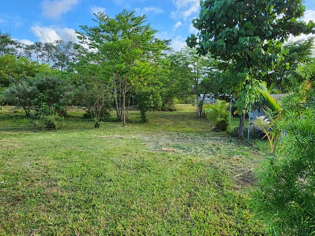 15-1878 10th Ave, Keaau, HI 96749