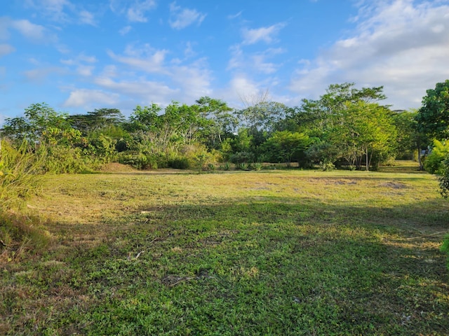 15-1878 10th Ave, Keaau, HI 96749