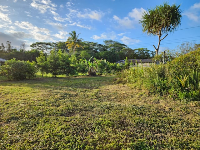 15-1878 10th Ave, Keaau, HI 96749