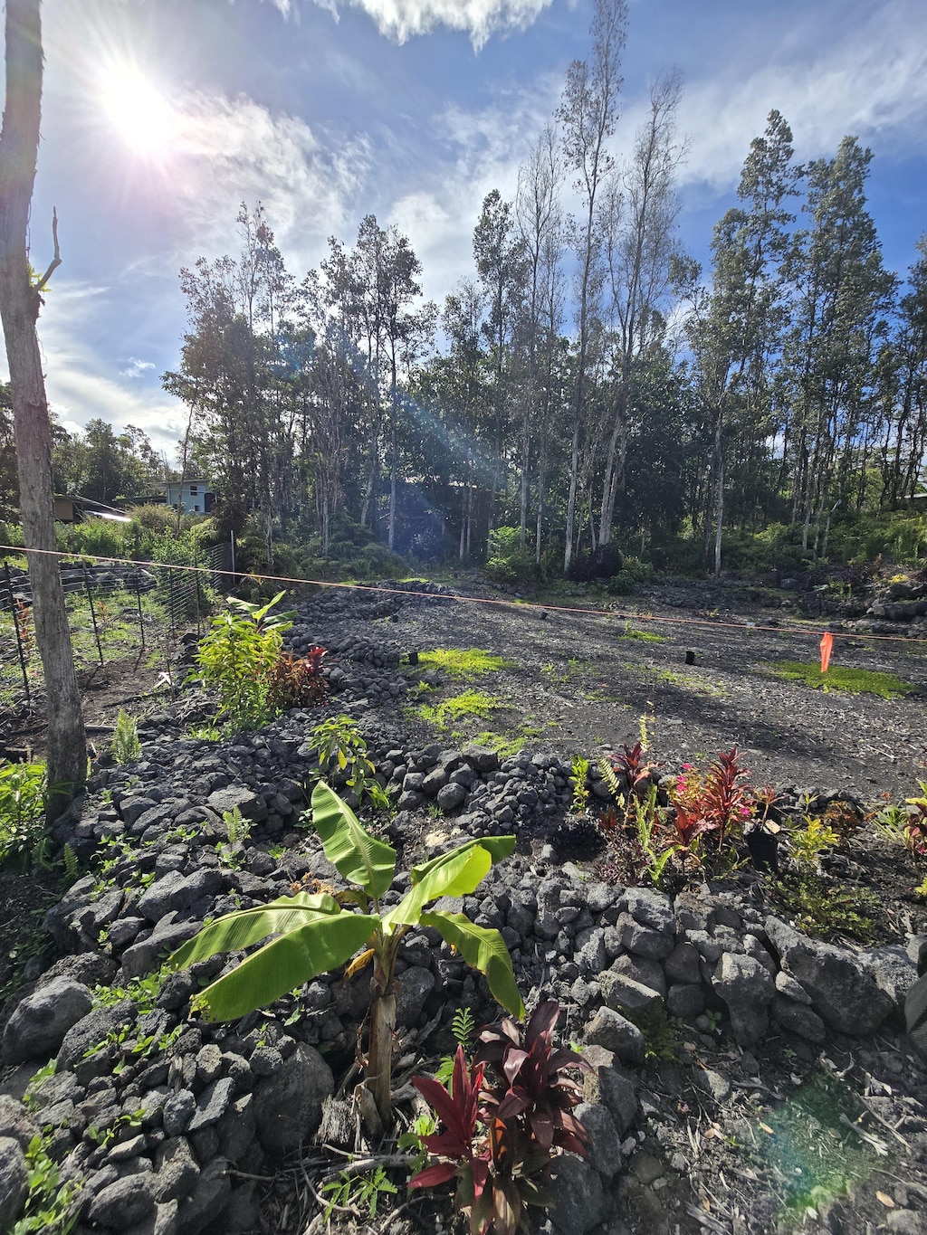 12-4336 Iolani St, Pahoa, HI 96778