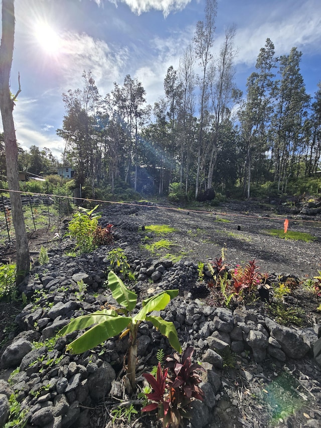 12-4336 Iolani St, Pahoa, HI 96778