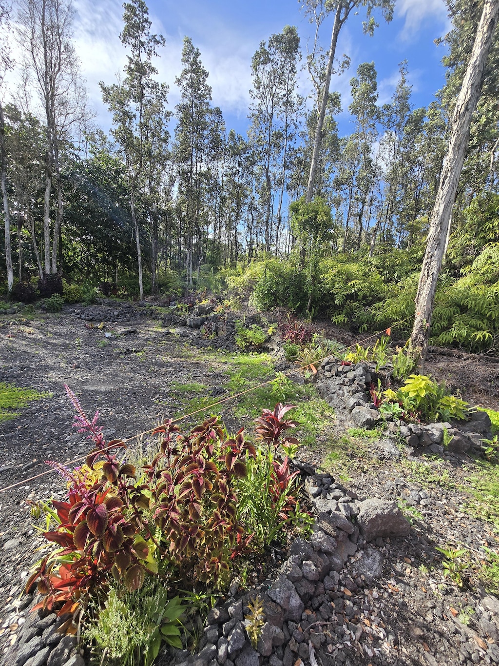 12-4336 Iolani St, Pahoa, HI 96778
