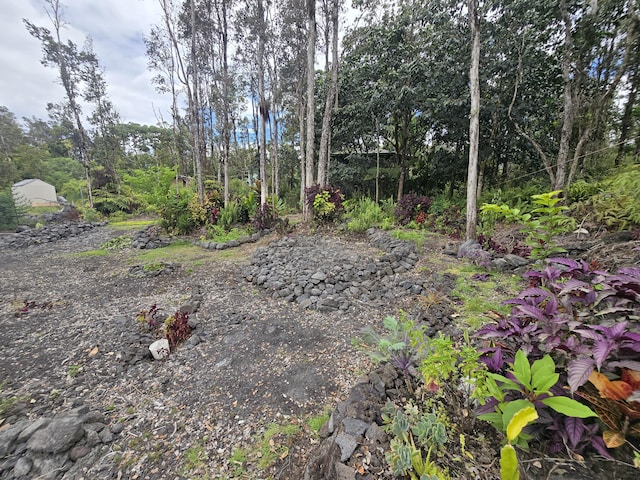 12-4336 Iolani St, Pahoa, HI 96778 - photo 7