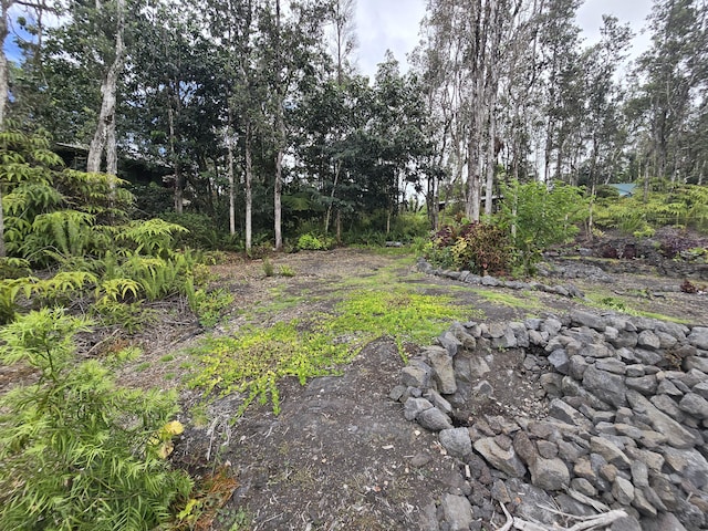 12-4336 Iolani St, Pahoa, HI 96778 - photo 9