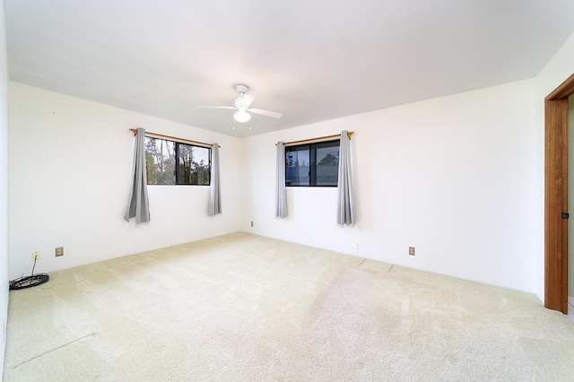 25-3571 Opalipali St, Hilo, HI 96720 - photo 13