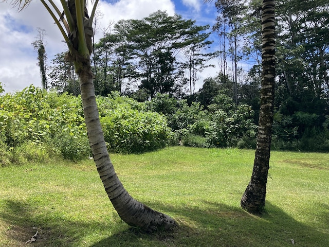 15-2005 12th Ave, Keaau, HI 96749 - photo 13