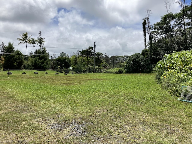 15-2005 12th Ave, Keaau, HI 96749 - photo 14