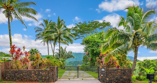 6003-B Halaulani Pl Unit 2, Kilauea, HI 96754 - view of home's community with a gate
