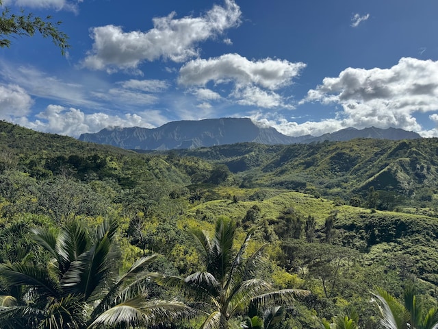 6003-B Halaulani Pl Unit 2, Kilauea, HI 96754 - view of mountain background