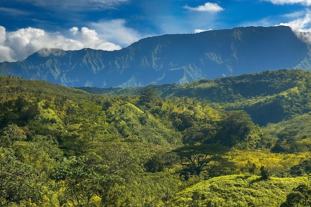 6003-B Halaulani Pl Unit 2, Kilauea, HI 96754 - mountain view featuring a heavily wooded area