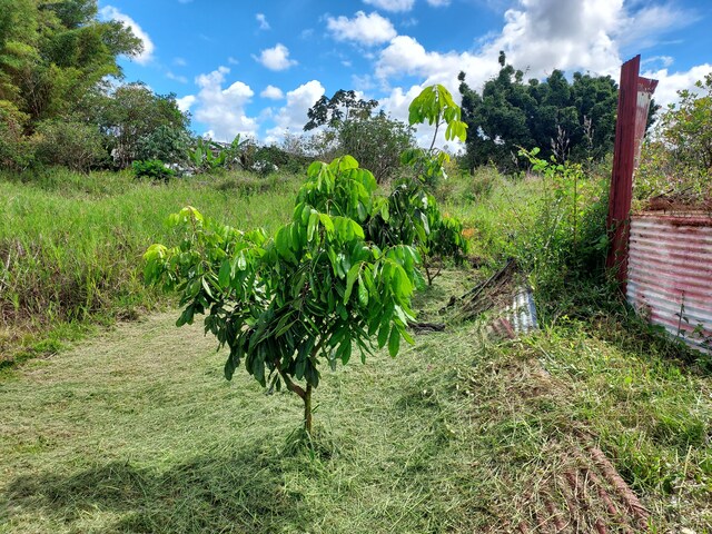 16-1286 Koloa Maoli Rd, Kurtistown, HI 96760 - photo 20
