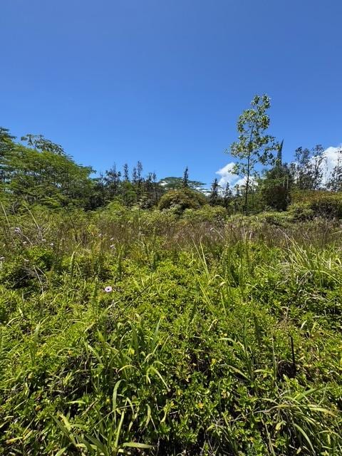 15-1719 13th Ave, Keaau, HI 96749