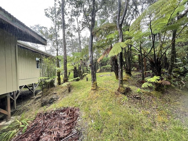 11-3757 7th St, Volcano, HI 96785 - view of yard