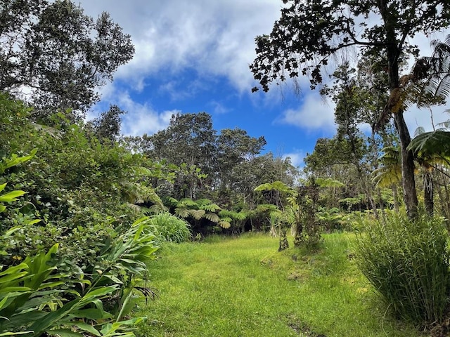 11-3757 7th St, Volcano, HI 96785 - photo 4