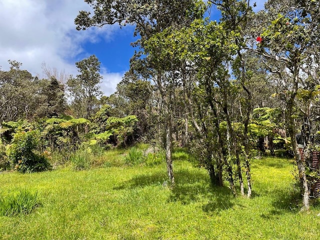 11-3757 7th St, Volcano, HI 96785 - photo 5