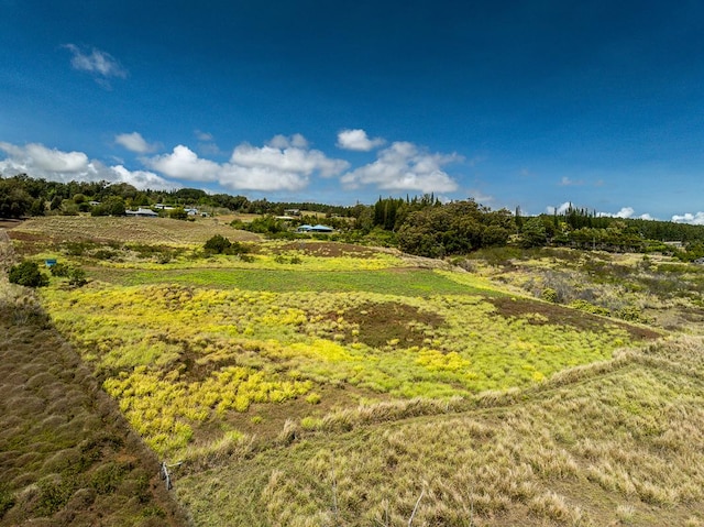 44-2745 Kalopa Mauka Rd, Honokaa, HI 96727