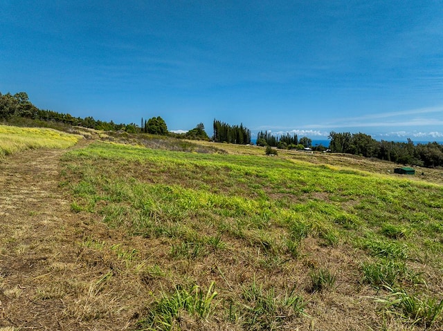 44-2745 Kalopa Mauka Rd, Honokaa, HI 96727