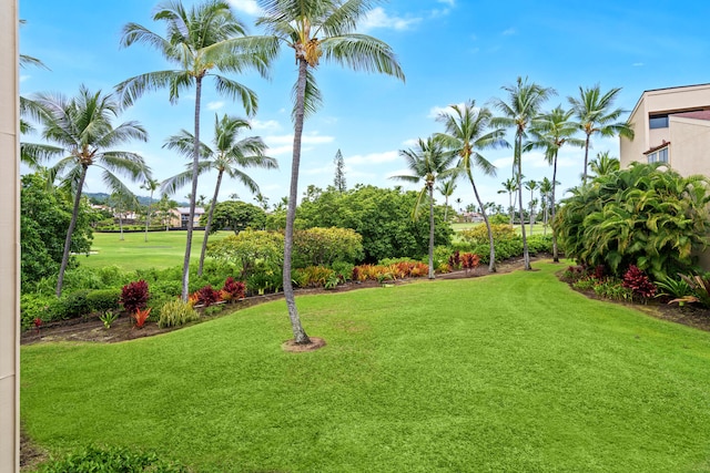 78-6800 Alii Dr Unit 7202, Kailua-Kona, HI 96740 - view of grassy yard