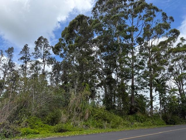 16-2048 Hibiscus Dr, Pahoa, HI 96778 - photo 2