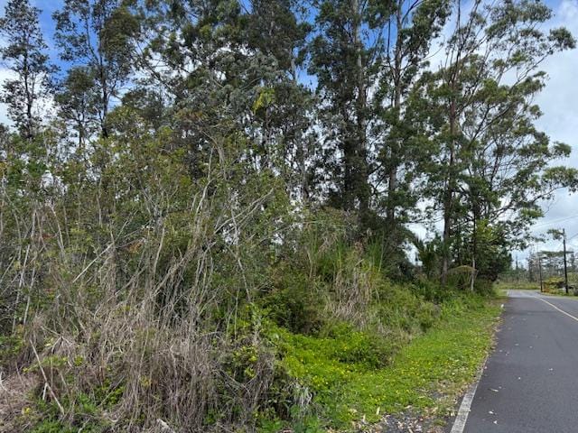 16-2048 Hibiscus Dr, Pahoa, HI 96778 - photo 3