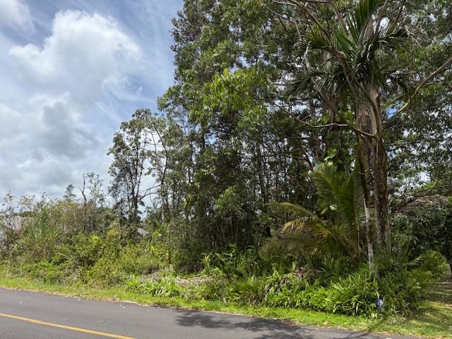 16-2048 Hibiscus Dr, Pahoa, HI 96778 - photo 4