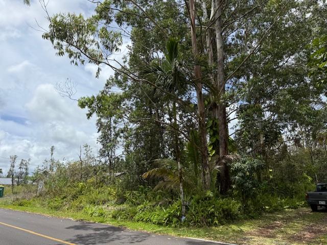 16-2048 Hibiscus Dr, Pahoa, HI 96778 - photo 8