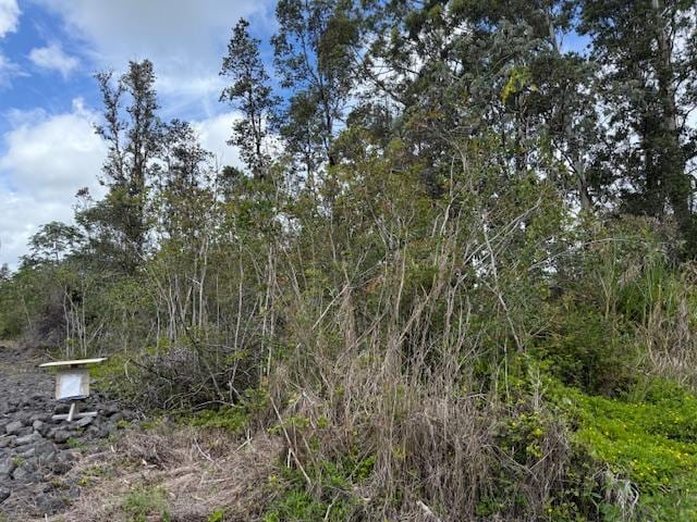 16-2048 Hibiscus Dr, Pahoa, HI 96778 - photo 9