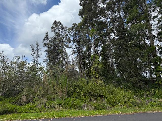 16-2048 Hibiscus Dr, Pahoa, HI 96778 - photo 10