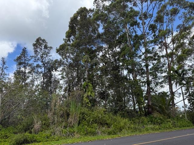 16-2048 Hibiscus Dr, Pahoa, HI 96778 - photo 11