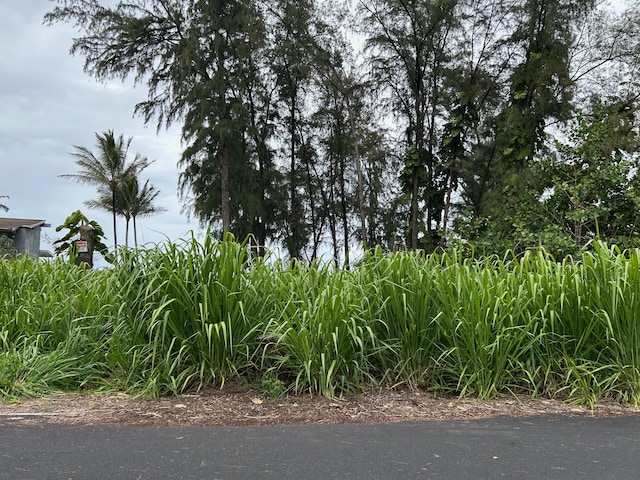 15-1027 Ala Heiau Rd, Keaau, HI 96749
