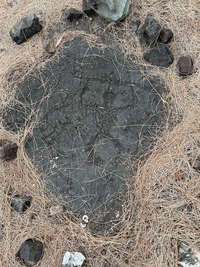 15-1027 Ala Heiau Rd, Keaau, HI 96749
