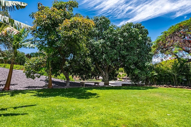 68-1785 Niu Haohao Pl, Waikoloa, HI 96738 - view of green lawn