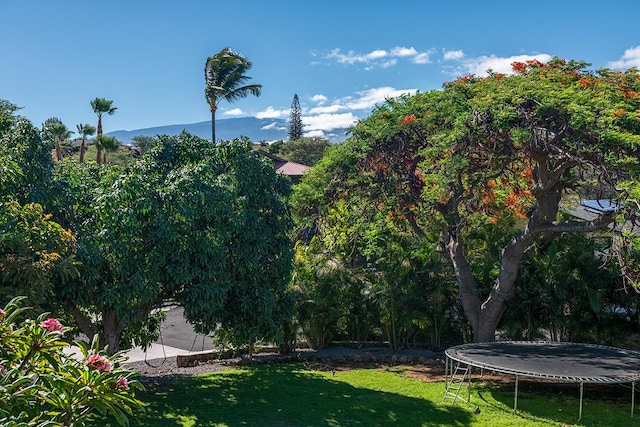 68-1785 Niu Haohao Pl, Waikoloa, HI 96738 - view of green lawn featuring a trampoline