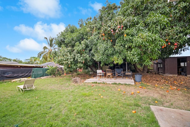 7786 Ulili Rd, Kekaha, HI 96752 - view of yard with a patio area