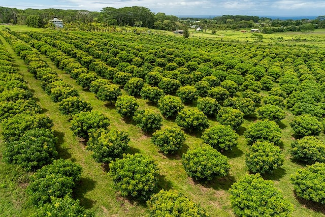 17-4150 Huina Rd, Kurtistown, HI 96760 - photo 2