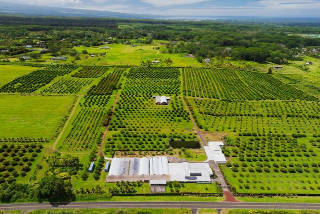 17-4150 Huina Rd, Kurtistown, HI 96760 - photo 17