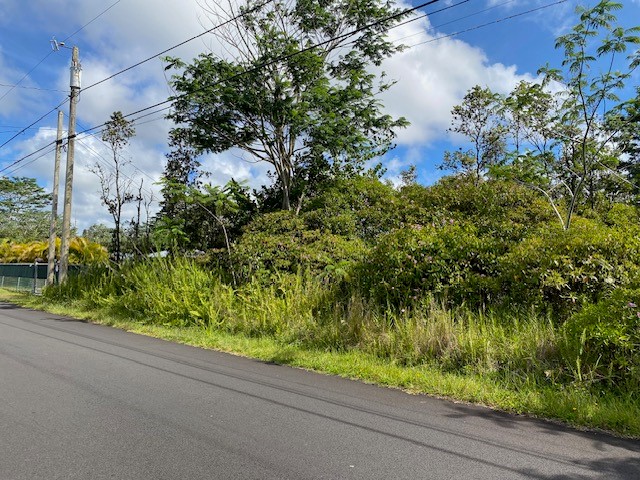 15-1472 14th Ave, Keaau, HI 96749 - photo 4