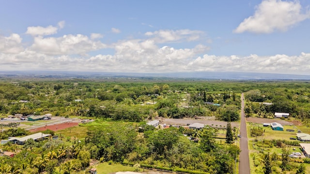 15-1472 14th Ave, Keaau, HI 96749 - photo 8