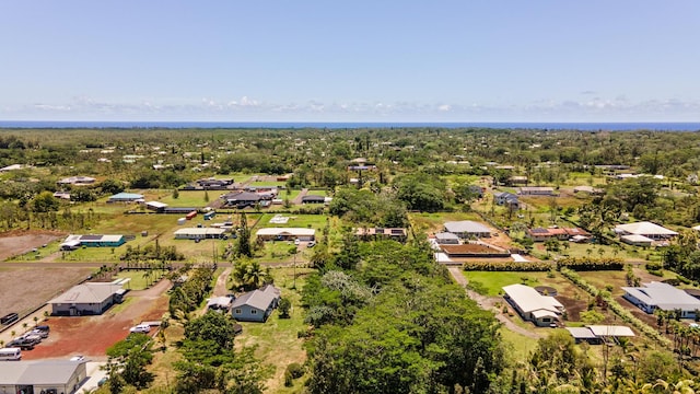 15-1472 14th Ave, Keaau, HI 96749 - photo 10