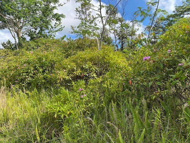 15-1472 14th Ave, Keaau, HI 96749 - photo 14