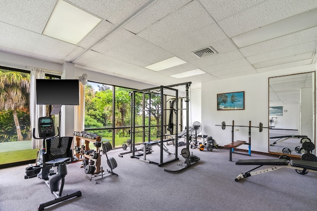 3-3400 Kuhio Hwy Unit B101, Lihue, HI 96766 - workout area with a paneled ceiling