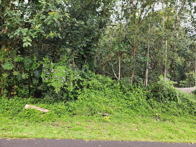 Kawakawa St, Pahoa, HI 96778