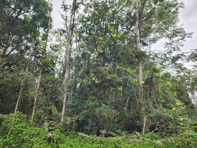 Kawakawa St, Pahoa, HI 96778
